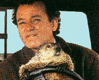 big bill in groundhog 731047