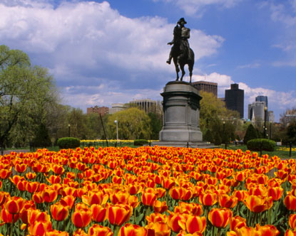 boston common