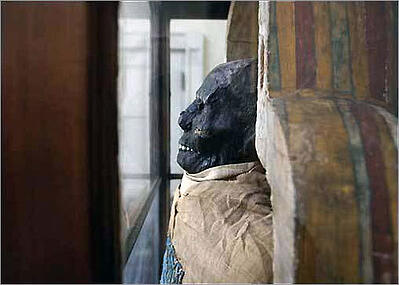 365 things to do in boston ether dome