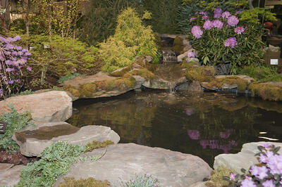 heimlich nurseries boston flower show