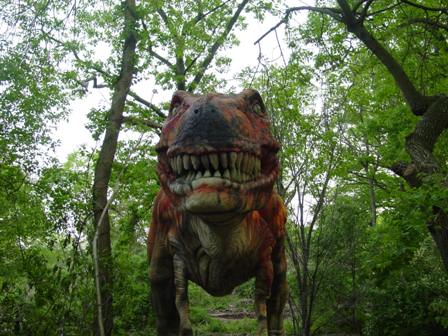 365 things to do in Boston zoorasic