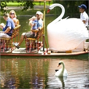 swanboatsboston
