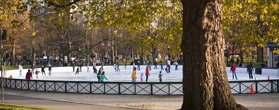 Winter Skating 954x375