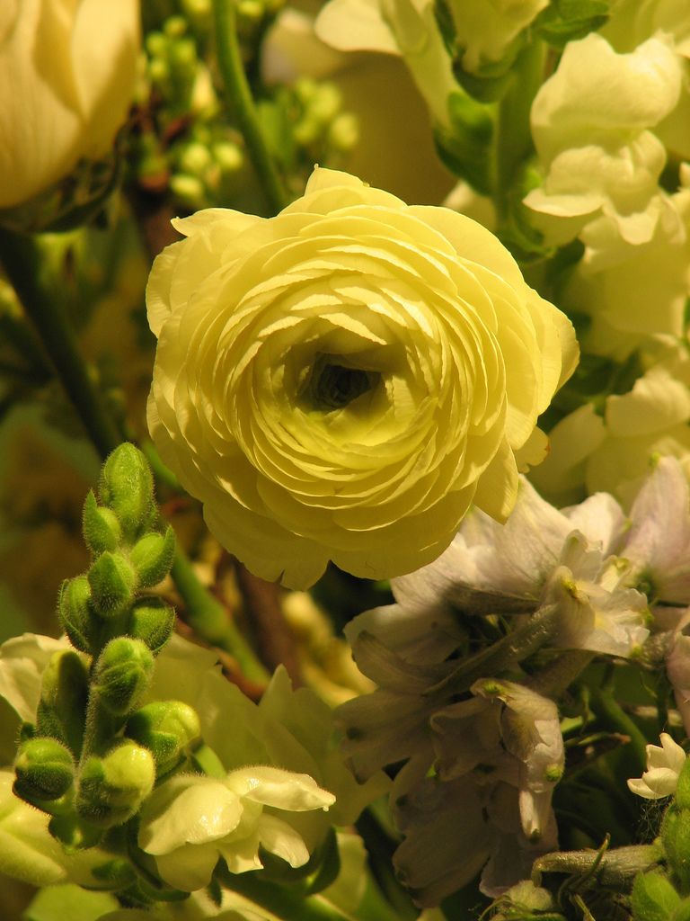 Boston Flower and Garden Show