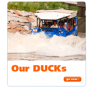 365 things to do in boston duck tour