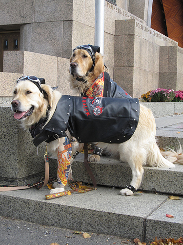 esplanadeassociation