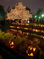 fall pumpkin festival