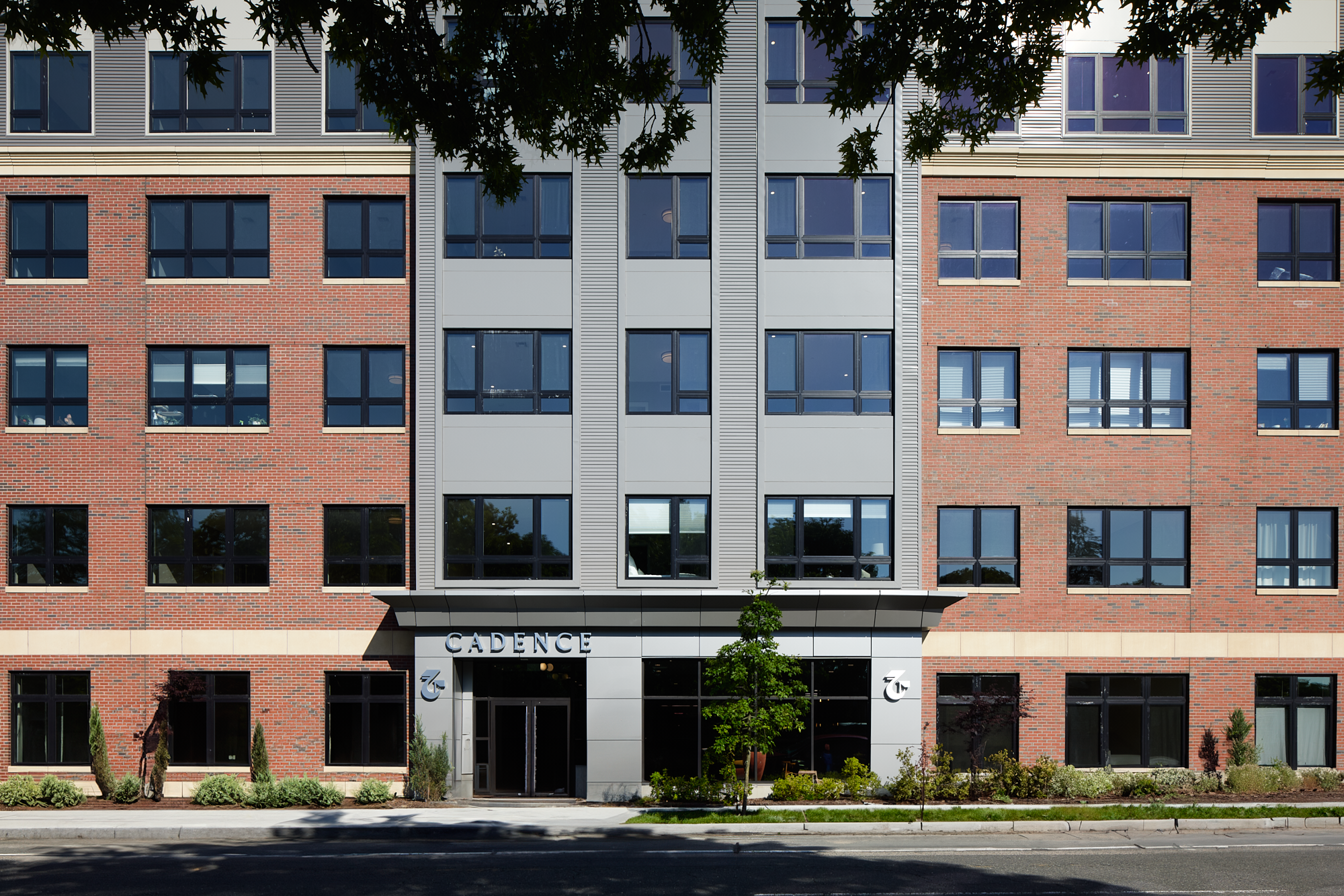 Cadence on Leo condominiums in Brighton