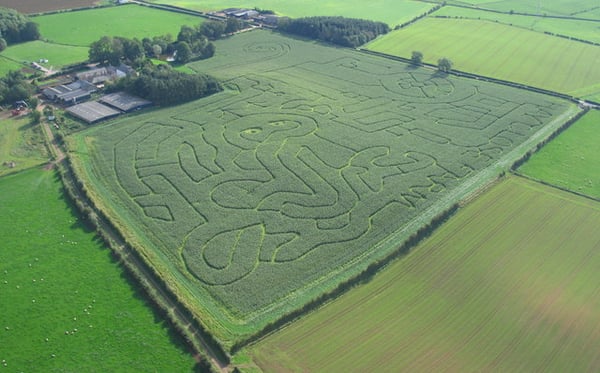 Hay_Close_Farm_Maize_Maze