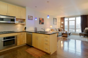 700_Harrison-Ave_700_Kitchen---Living-Room-Photo_800-M