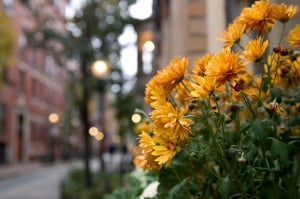 shutterstock,dreamstime,stockexpert,canstock,istock,123rf,veer,bigstock