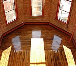 Pet friendly apartments in the South End, Boston, Ma Pet friendly apartments in the South End, Boston, Ma