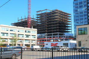 photo by Phil Boucher