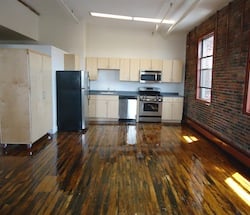 Pet friendly apartments in the South End, Boston, Ma 2