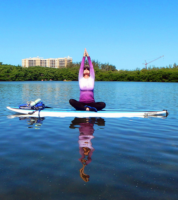 17410532095_84a5ece3e5_z