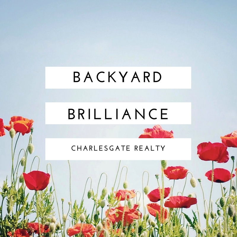 Backyard Brilliance: How to Improve Outdoor Value on Your Home