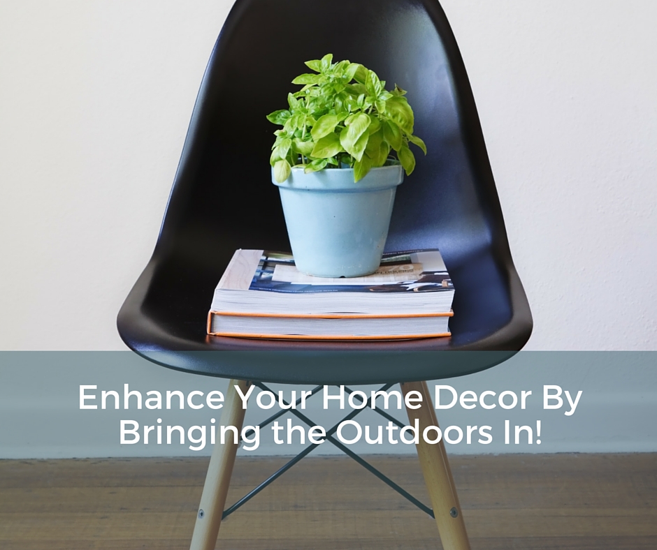 Enhance Your Home Decor By Bringing the Outdoors In