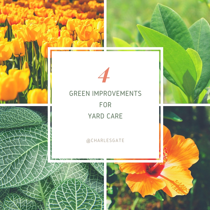 4 Green Improvements for Yard Care