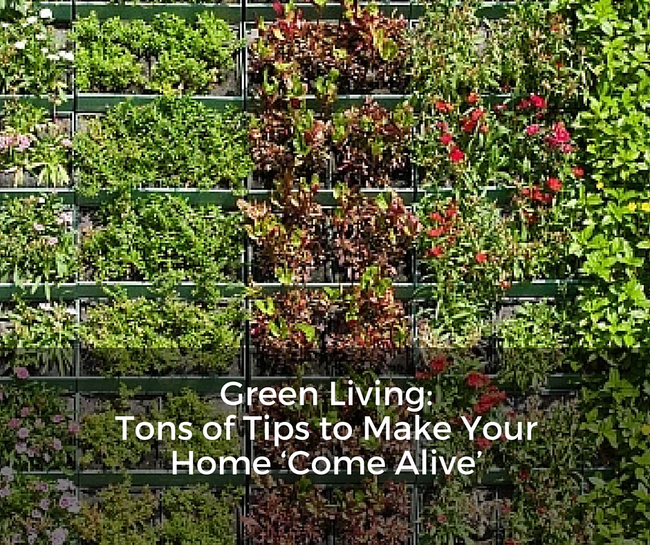 Green Living — Tons of Tips to Make Your Home ‘Come Alive’